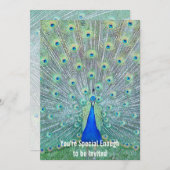 美しいクジャクのご招待 招待状 (正面/裏面)