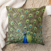 美しいクジャクの鳥 クッション (ブランケット)