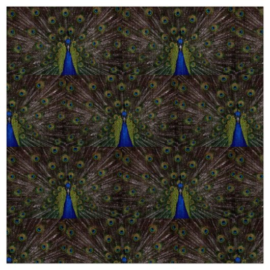 美しいクジャク ファブリック (見本)