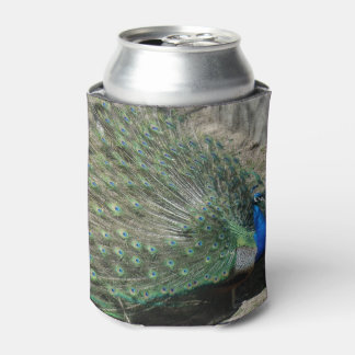 美しいクジャク 缶クーラー