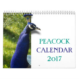 美しいクジャク 2027 カレンダー