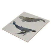 美しいクジラの陶磁器キッチンタイル タイル (側面)