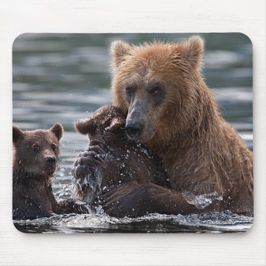 美しいクマと子ネコ マウスパッド (正面)