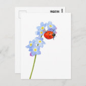 美しいクモグモテンの絵 ポストカード (正面/裏面)