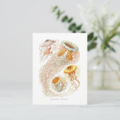 美しいクラゲのはがき ポストカード (スタンド正面)