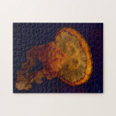 美しいクラゲの写真パズル ジグソーパズル (横)