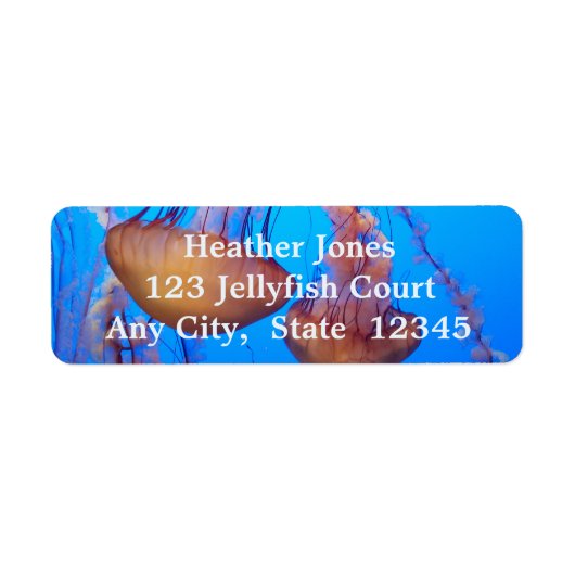 美しいクラゲラベル ラベル (正面)