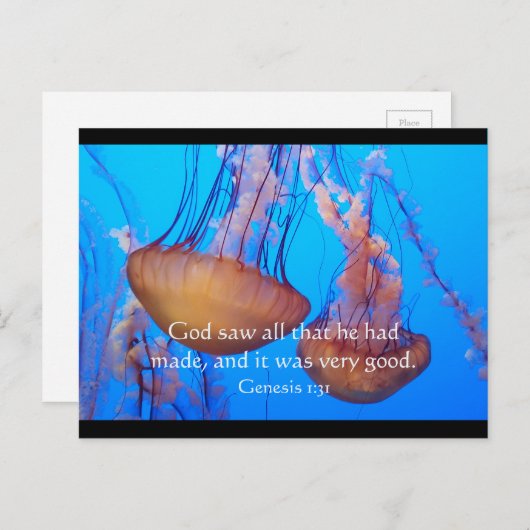 美しいクラゲ聖書の詩はがき ポストカード (正面/裏面)