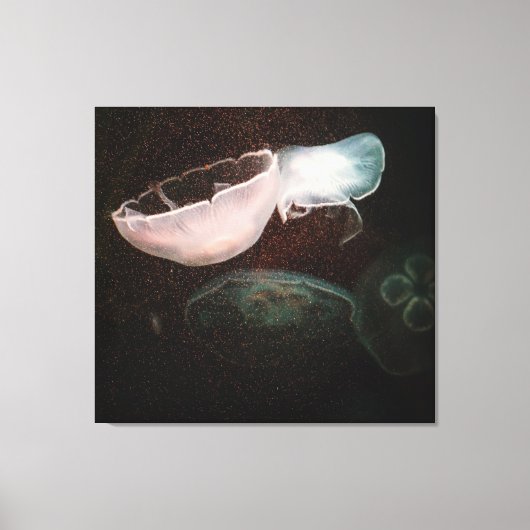 美しいクラゲ キャンバスプリント (正面)