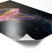 美しいクラゲ フォトプリント            (角)