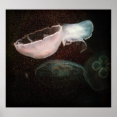 美しいクラゲ ポスター (正面)