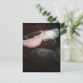 美しいクラゲ ポストカード (スタンド正面)