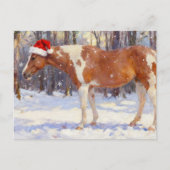 美しいクリスマスのペイントホースの牝馬 ポストカード (正面)
