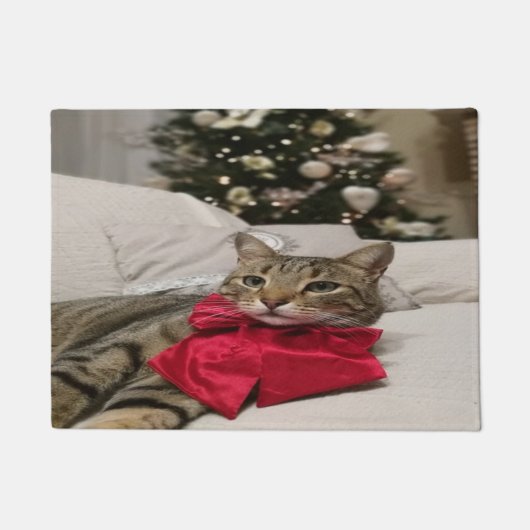 美しいクリスマスの猫 ドアマット (正面)
