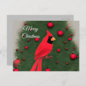 美しいクリスマスレッド（鳥）ショウジョウコウカンチョウ シーズンポストカード (正面/裏面)
