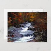 美しいクリーク自然 ポストカード (正面/裏面)