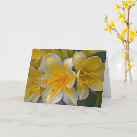 美しいクリームイエロー金ゴールドユリ花アートカード カード (黄色い花)