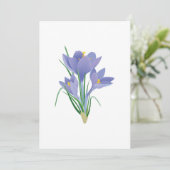 美しいクロッカスの花 シーズンカード (スタンド正面)