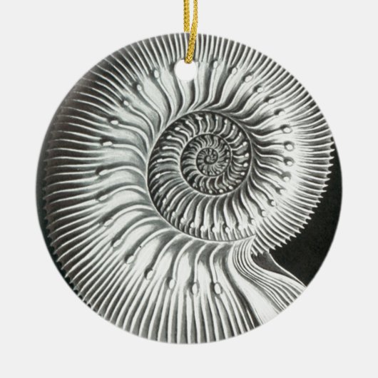 美しいクローズアップアンモナイト写真デザイン セラミックオーナメント (正面)