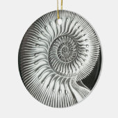 美しいクローズアップアンモナイト写真デザイン セラミックオーナメント (左)
