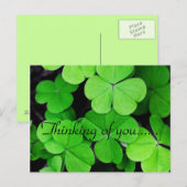 美しいクローバー ポストカード (正面/裏面)