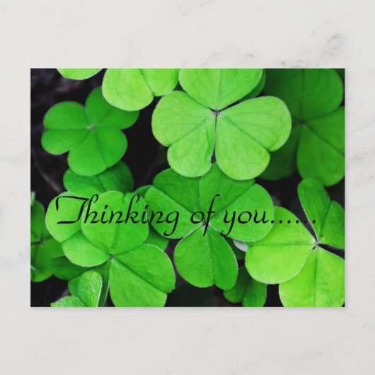 美しいクローバー ポストカード (正面)