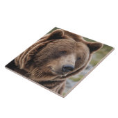 美しいグリズリーベアポートレートブラウンベア2a タイル (側面)
