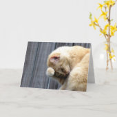 美しいグリーティングカード カード (黄色い花)