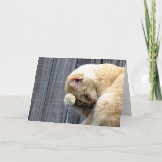 美しいグリーティングカード カード (正面)