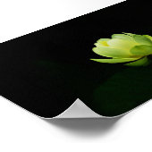 美しいグリーンロータス,湖,禅 ポスター (角)