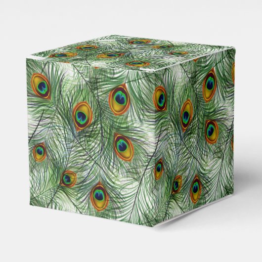 美しいグリーン孔雀の羽 フェイバーボックス (正面サイド)