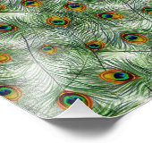 美しいグリーン孔雀の羽 フォトプリント            (角)