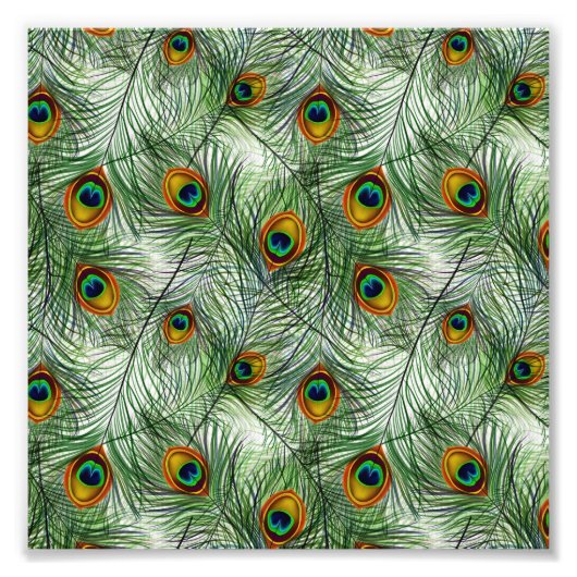 美しいグリーン孔雀の羽 フォトプリント            (正面)