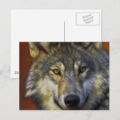 美しいグ芸術的レーウルフポートレート ポストカード (正面/裏面)