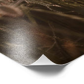 美しいケシの花 フォトプリント            (角)