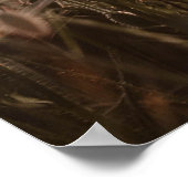 美しいケシの花 ポスター (角)