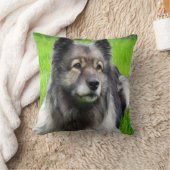 美しいケージョンド クッション (ブランケット)