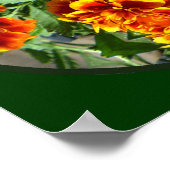 美しいゲームの鳥 ポスター (角)