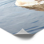 美しいコサギのセルフィー ポスター (角)