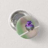 美しいコスタのハチドリ 缶バッジ (正面&裏面)