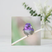 美しいコスタのハミングバードノートカード サンキューカード (スタンド正面)