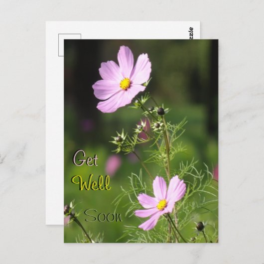 美しいコスメアの花の回復おめでとうポストカード ポストカード (正面/裏面)