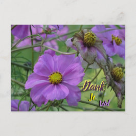 美しいコスメアの花の感謝の気持ちを伝えるポストカード ポストカード