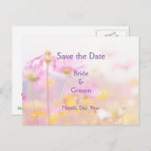 美しいコスモスガーデンフラワーピンクマウブパープル 案内ポストカード (正面/裏面)