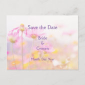 美しいコスモスガーデンフラワーピンクマウブパープル 案内ポストカード (正面)