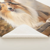 美しいコリー シェルパブランケット (3/4)