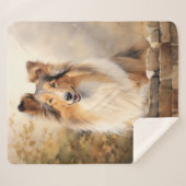 美しいコリー シェルパブランケット (正面(横))