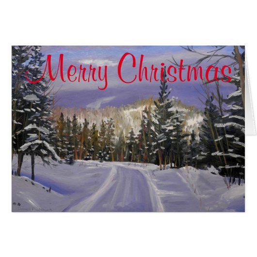 美しいコロラドマウンテンスノーシーン (正面横)