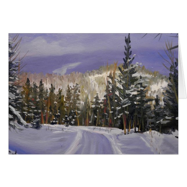 美しいコロラドマウンテンスノーシーン (正面横)