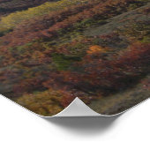 美しいコロラド ポスター (角)